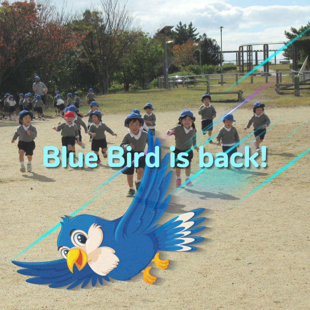 Blue Bird is back! （Blue Birdは、通常の活動に戻りました！）