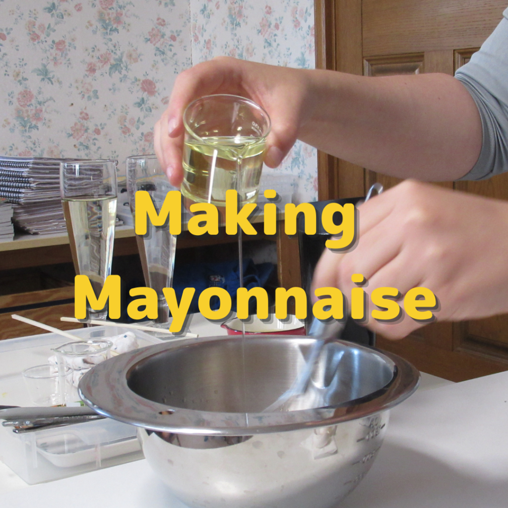 Making Mayonnaise！