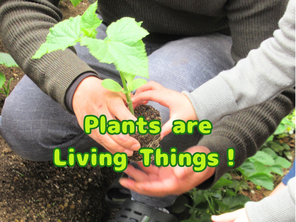 Plants are Living Things！