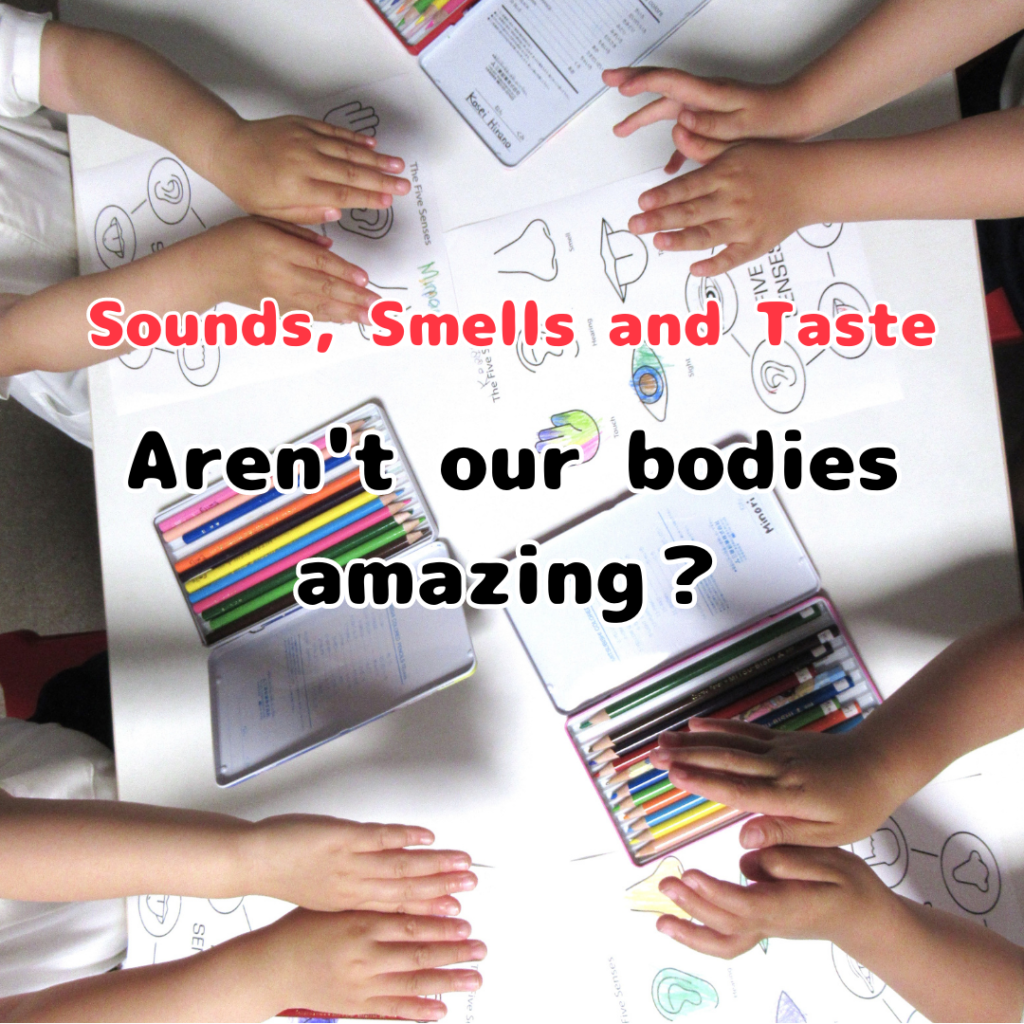 Aren’t our bodies amazing? Sounds, Smells and Taste