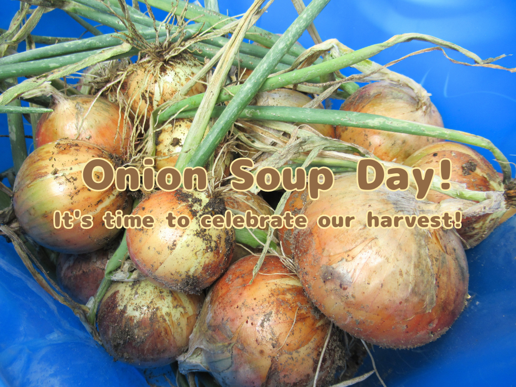 Onion Soup Day！