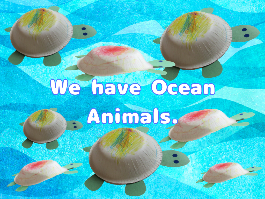 海の動物たち