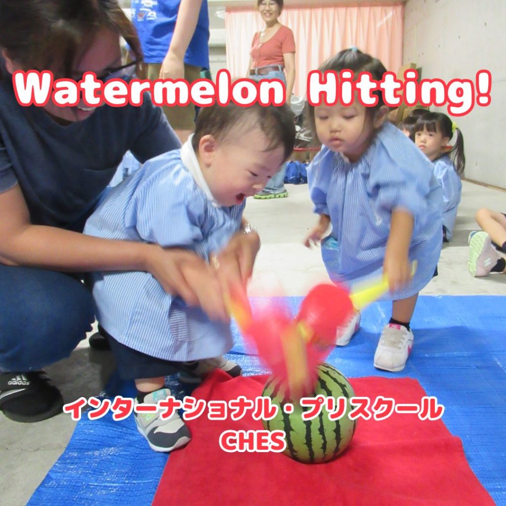 なんでも食べちゃう動物